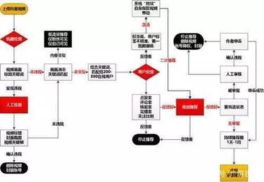 抖音新手養號指南及技巧！